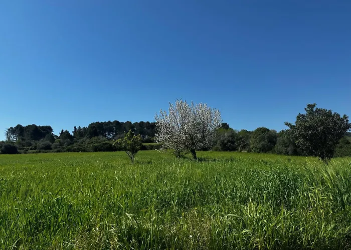 Trulli Del Sole