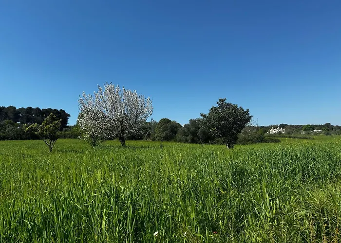 Trulli Del Sole
