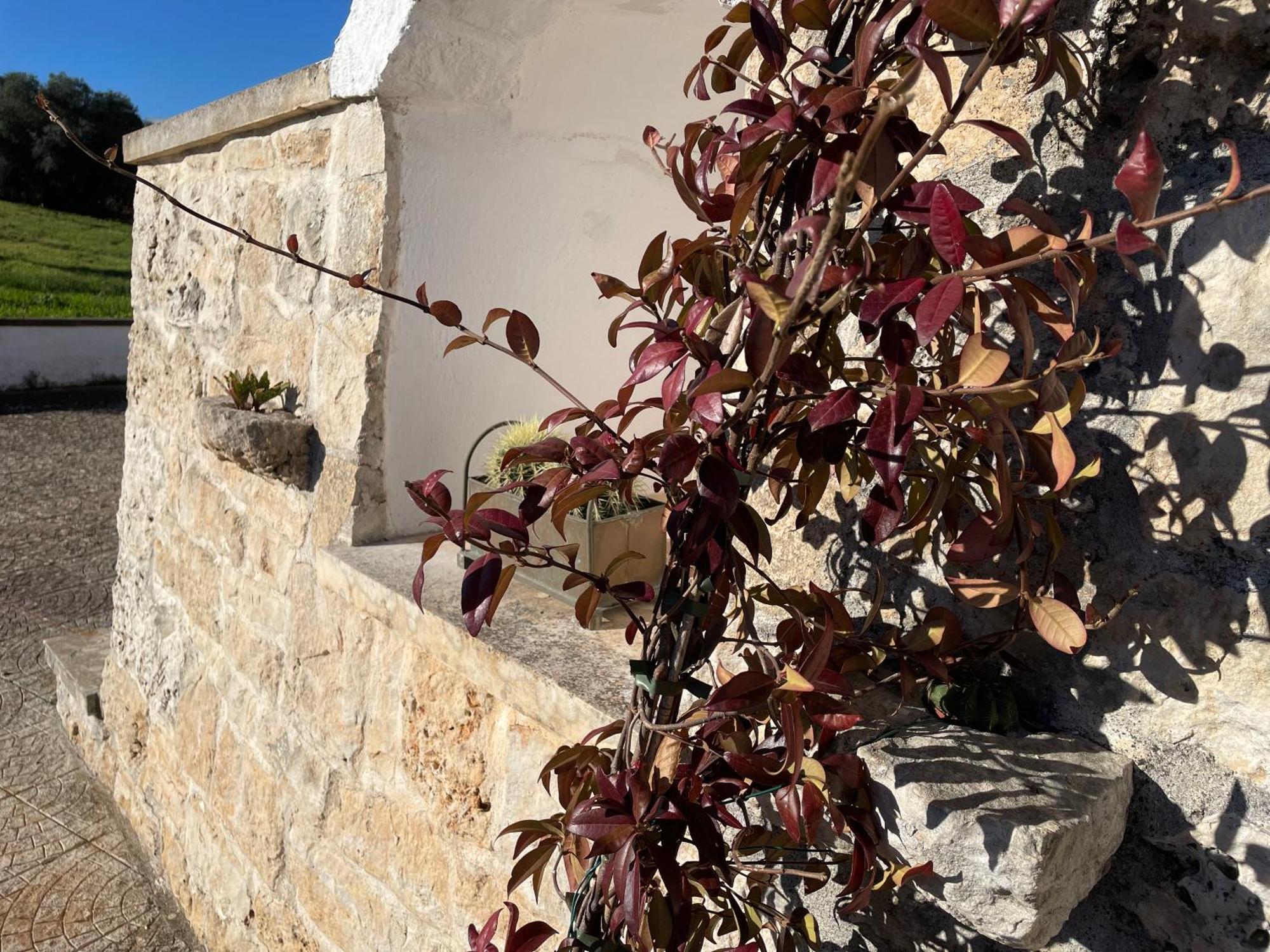 Casa de Férias Trulli Del Sole Martina Franca