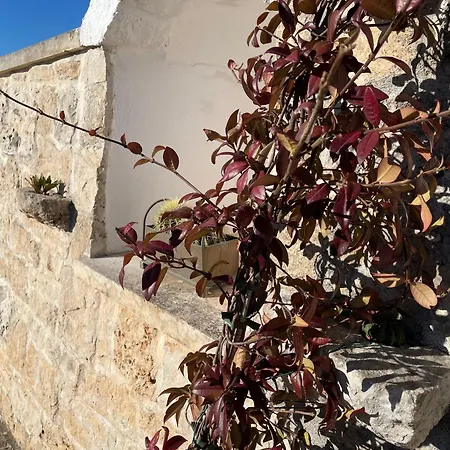 Trulli Del Sole Villa Martina Franca Exterior photo