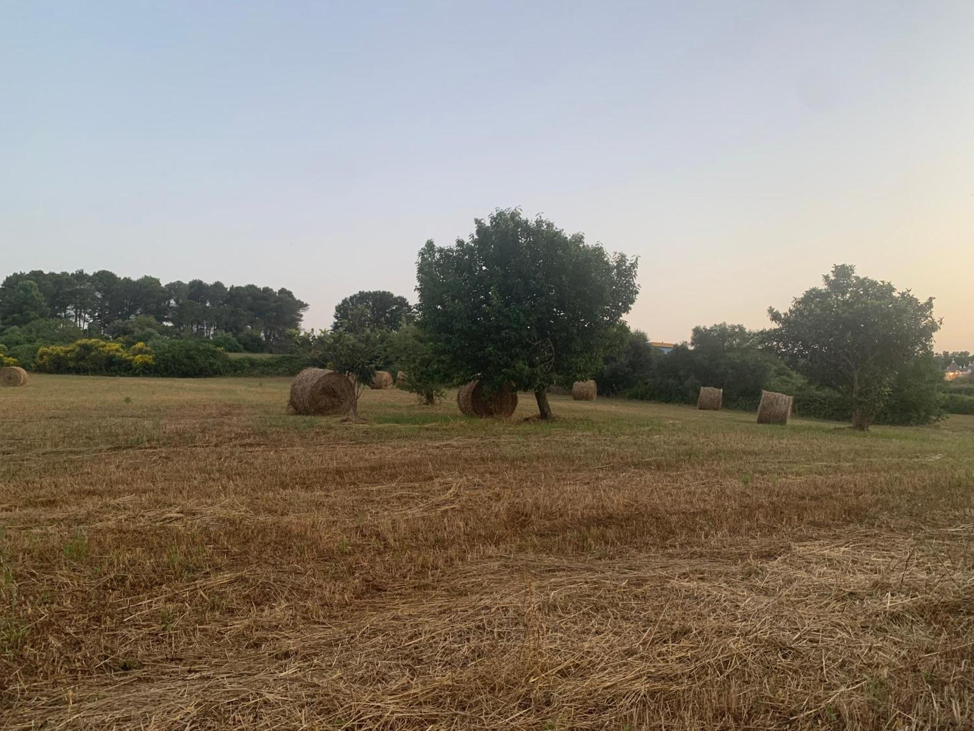 Trulli Del Sole Martina Franca