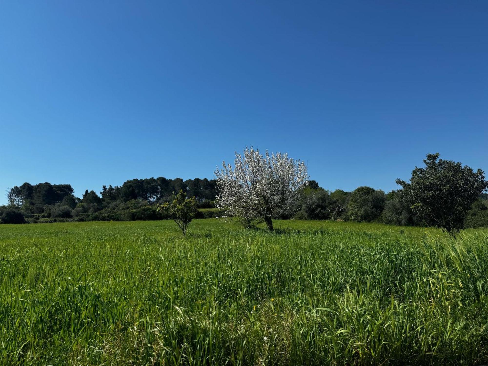 Trulli Del Sole Holiday home Martina Franca