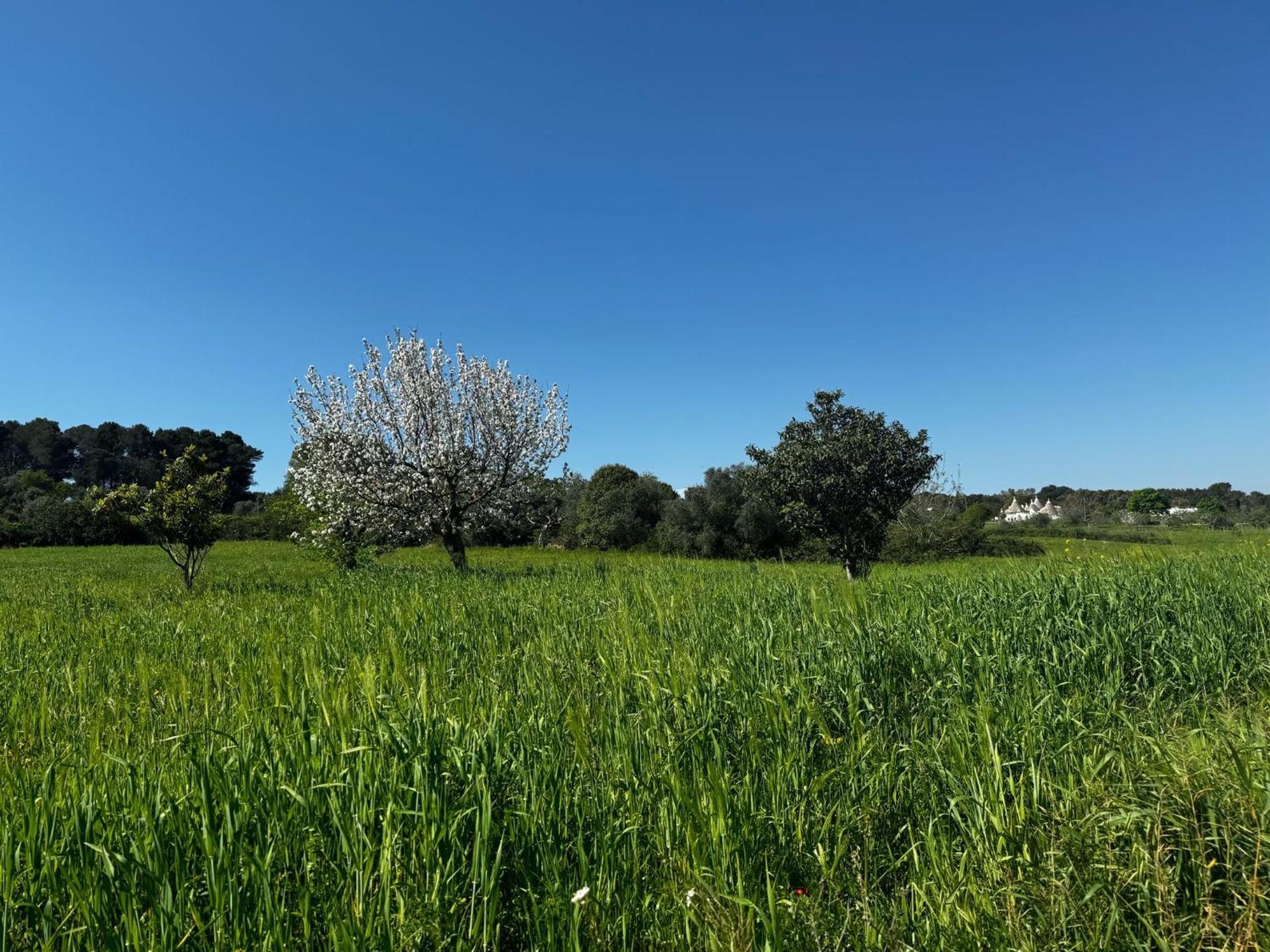 Holiday home Trulli Del Sole *